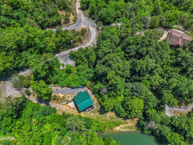 2759 Wildwood Rd, Dandridge, TN 37725 - photo 41