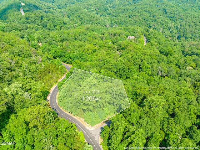 123 Long Rifle Rd, Walland TN, 37886 land for sale