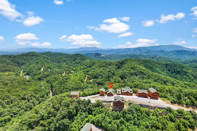 property view of mountains