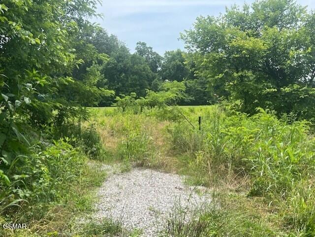 LOT14R2 Pleasant View Cemetery Rd, New Market, TN 37820