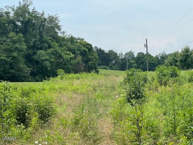 LOT14R2 Pleasant View Cemetery Rd, New Market, TN 37820