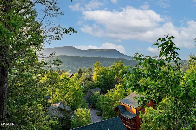 2023 Bear Creek Way, Pigeon Forge, TN 37862