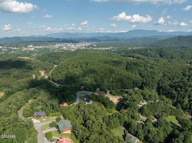 1047 Timber Woods Dr, Sevierville, TN 37862 - photo 5