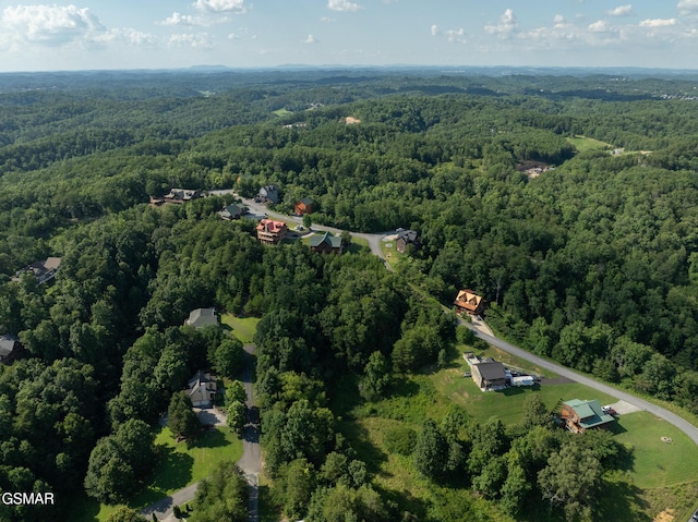 1047 Timber Woods Dr, Sevierville, TN 37862 - photo 16