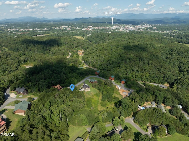 1047 Timber Woods Dr, Sevierville, TN 37862 - photo 14