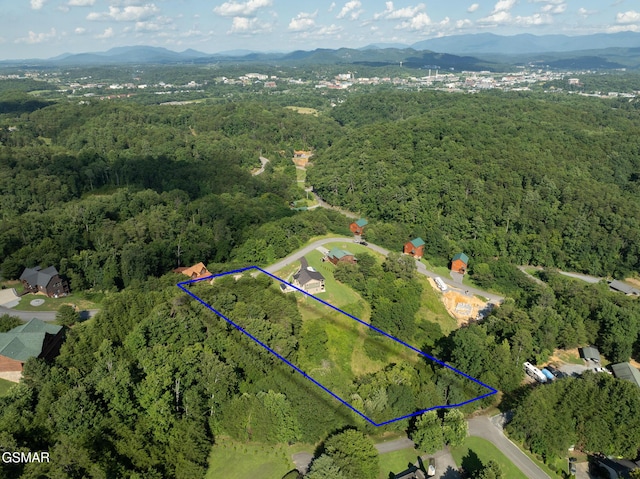 1047 Timber Woods Dr, Sevierville, TN 37862 - photo 10