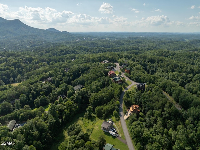 1047 Timber Woods Dr, Sevierville, TN 37862 - photo 15