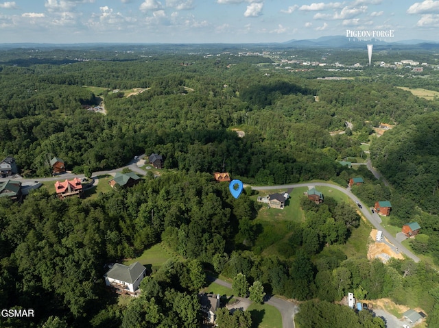 1047 Timber Woods Dr, Sevierville, TN 37862 - photo 13