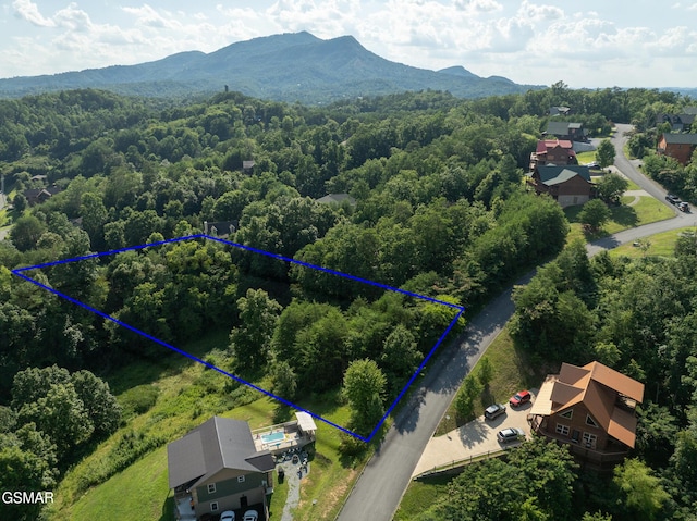 1047 Timber Woods Dr, Sevierville, TN 37862 - photo 1