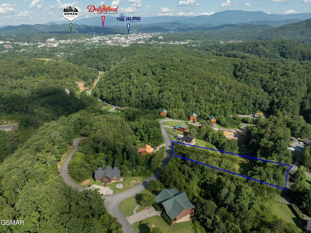 1047 Timber Woods Dr, Sevierville, TN 37862 - photo 3