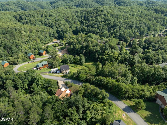 1047 Timber Woods Dr, Sevierville, TN 37862 - photo 12