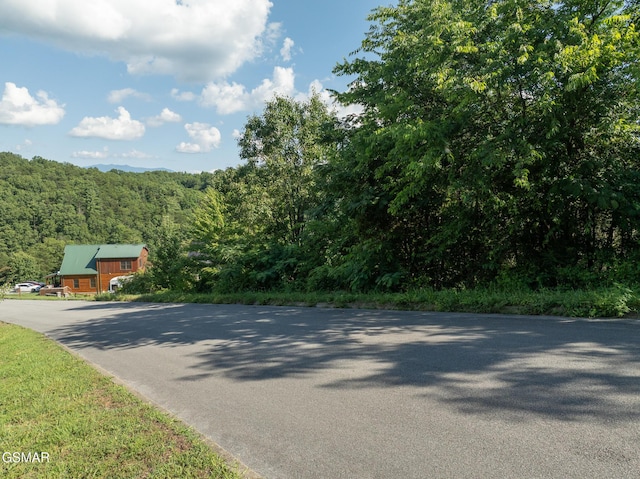 1047 Timber Woods Dr, Sevierville, TN 37862 - photo 4