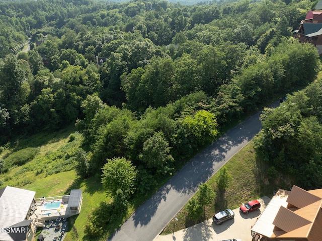 1047 Timber Woods Dr, Sevierville, TN 37862 - photo 7
