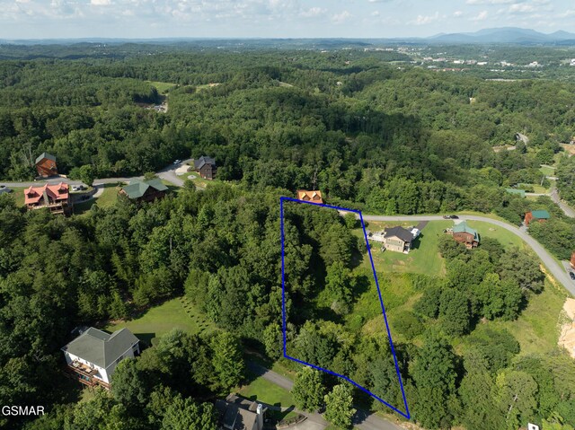 1047 Timber Woods Dr, Sevierville, TN 37862 - photo 2