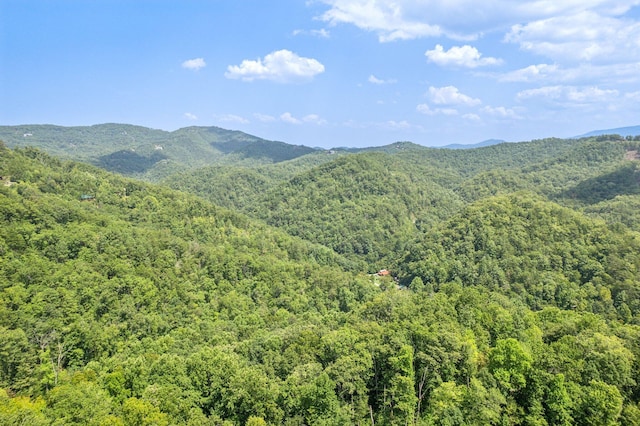 Listing photo 3 for LOT11 Whetstone Rd, Sevierville TN 37862