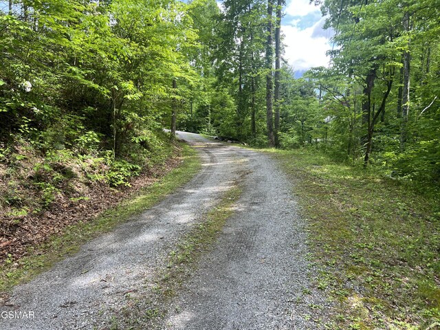 LOT1 4-6 Old Cartertown Rd, Gatlinburg, TN 37738 - photo 10