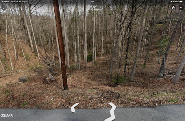 LOT1 4-6 Old Cartertown Rd, Gatlinburg, TN 37738 - photo 4