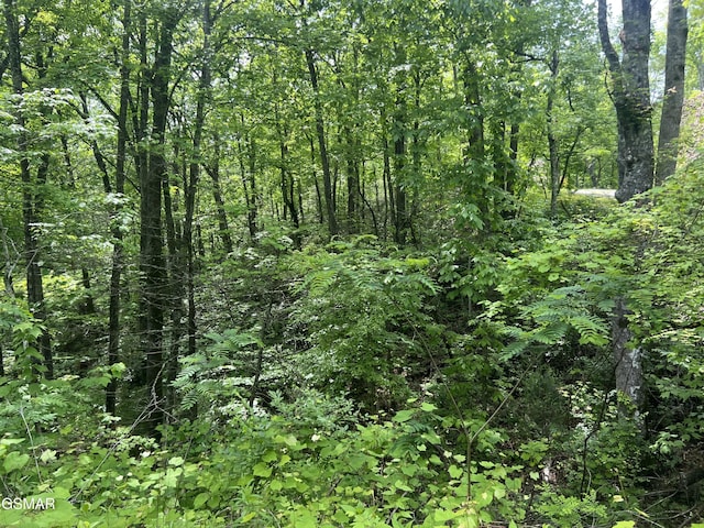 LOT1 4-6 Old Cartertown Rd, Gatlinburg, TN 37738 - photo 12