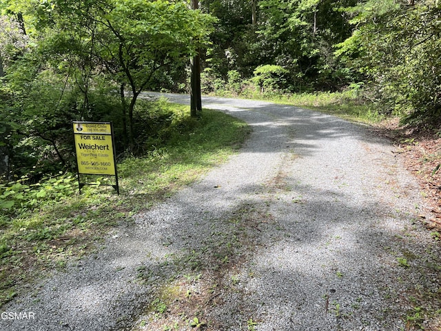 LOT1 4-6 Old Cartertown Rd, Gatlinburg, TN 37738 - photo 15
