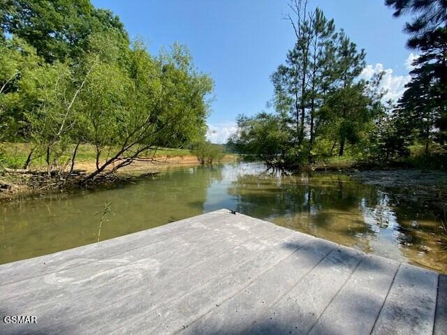 946 Holiday Ln, Sevierville, TN 37876 - photo 3