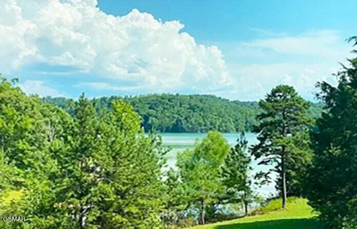 946 Holiday Ln, Sevierville, TN 37876 - photo 2
