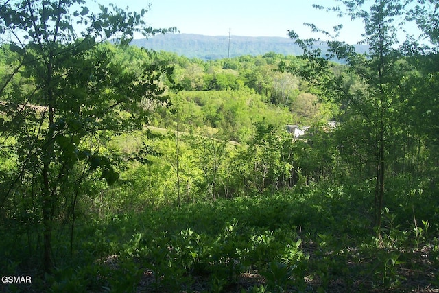 Listing photo 3 for TRACT1 Chapman Hwy, Seymour TN 37865