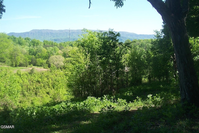 TRACT1 Chapman Hwy, Seymour, TN 37865