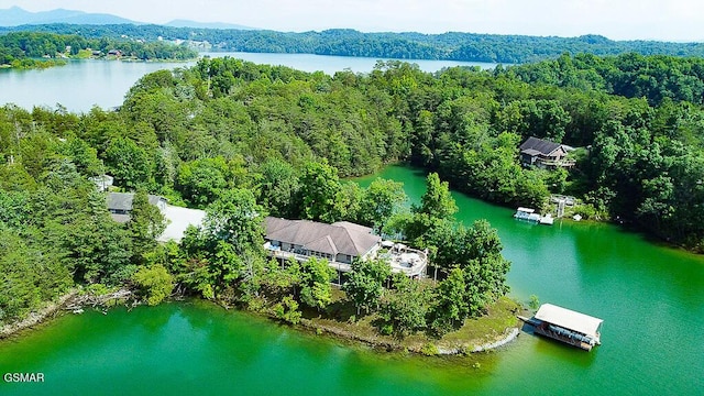 1949 Redbud View Rd, Sevierville, TN 37876 - photo 8