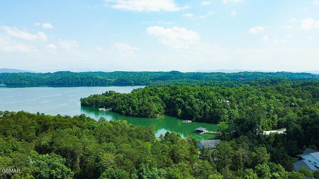 1949 Redbud View Rd, Sevierville, TN 37876 - photo 56
