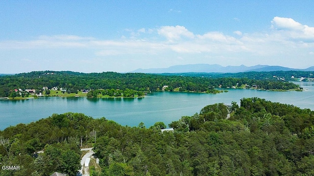 1949 Redbud View Rd, Sevierville, TN 37876 - photo 55