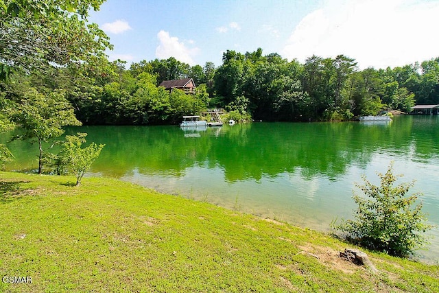 1949 Redbud View Rd, Sevierville, TN 37876 - photo 50