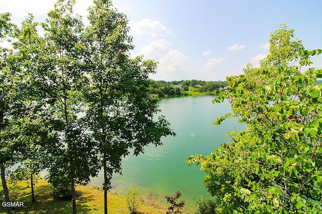 1949 Redbud View Rd, Sevierville, TN 37876 - photo 57