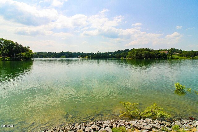 1949 Redbud View Rd, Sevierville, TN 37876 - photo 58
