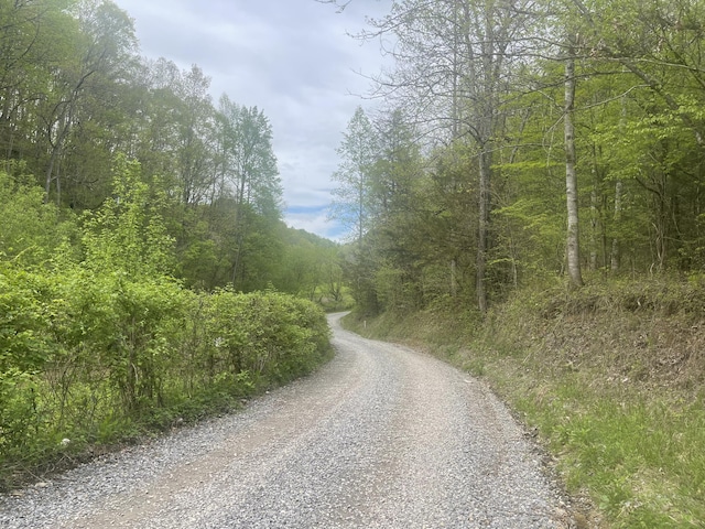 Listing photo 2 for LOT6 Talley Rd, Parrottsville TN 37843