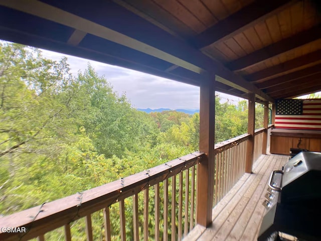940 Buck Way, Sevierville, TN 37876 - photo 27