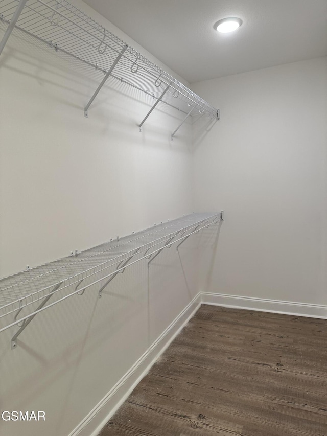 spacious closet featuring dark wood finished floors