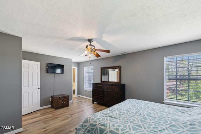 856 Garners Landing Blvd, Seymour, TN 37865 - bedroom with multiple windows, wood finished floors, a textured ceiling, and ceiling fan