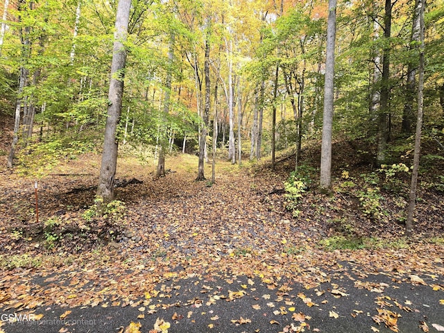 LOT15 Sonshine Ridge Rd, Cosby TN, 37722 land for sale