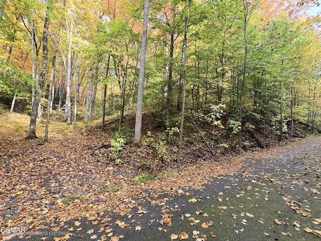 Listing photo 2 for LOT15 Sonshine Ridge Rd, Cosby TN 37722