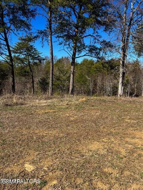 2009 Scott St Lot1A, Sevierville, TN 37876 - photo 4