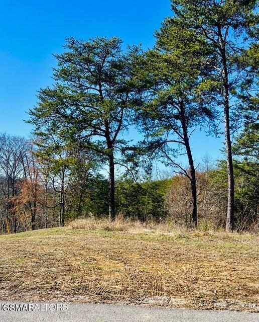 2009 Scott St Lot1A, Sevierville, TN 37876 - photo 5