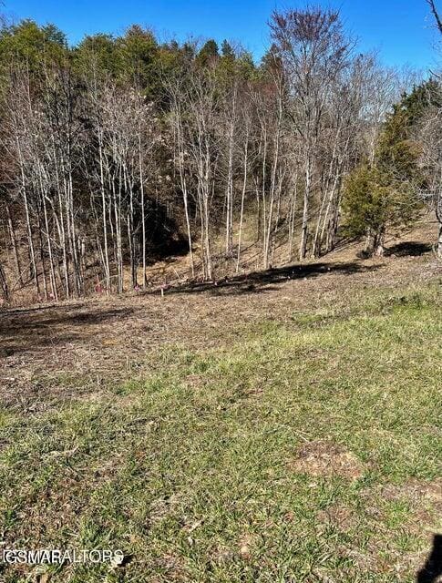 2009 Scott St Lot1A, Sevierville, TN 37876 - photo 1