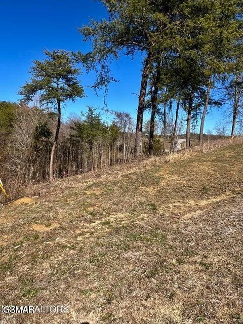 2009 Scott St Lot1A, Sevierville, TN 37876 - photo 7