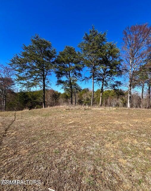 2009 Scott St Lot1A, Sevierville, TN 37876 - photo 3