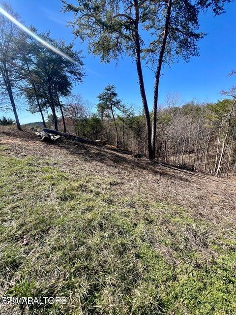2009 Scott St Lot1A, Sevierville, TN 37876 - photo 6