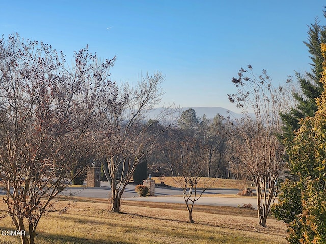 property view of mountains