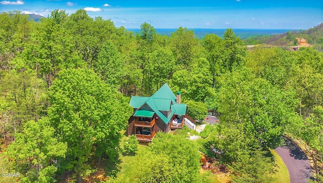 3341 Sugar Maple Loop Rd, Sevierville, TN 37862 - photo 9