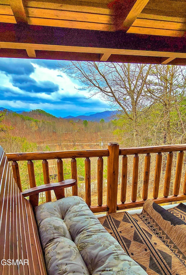 3341 Sugar Maple Loop Rd, Sevierville, TN 37862 - photo 69