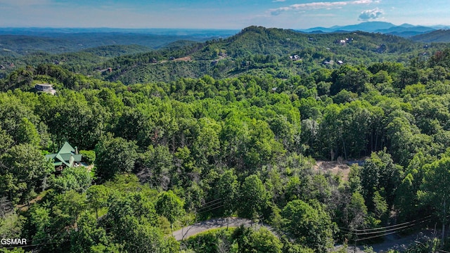 3341 Sugar Maple Loop Rd, Sevierville, TN 37862 - photo 93