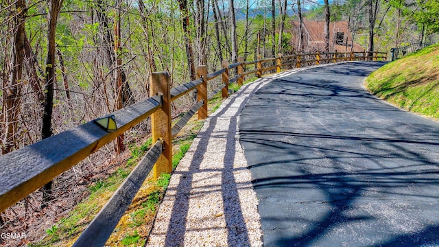 3341 Sugar Maple Loop Rd, Sevierville, TN 37862 - photo 88